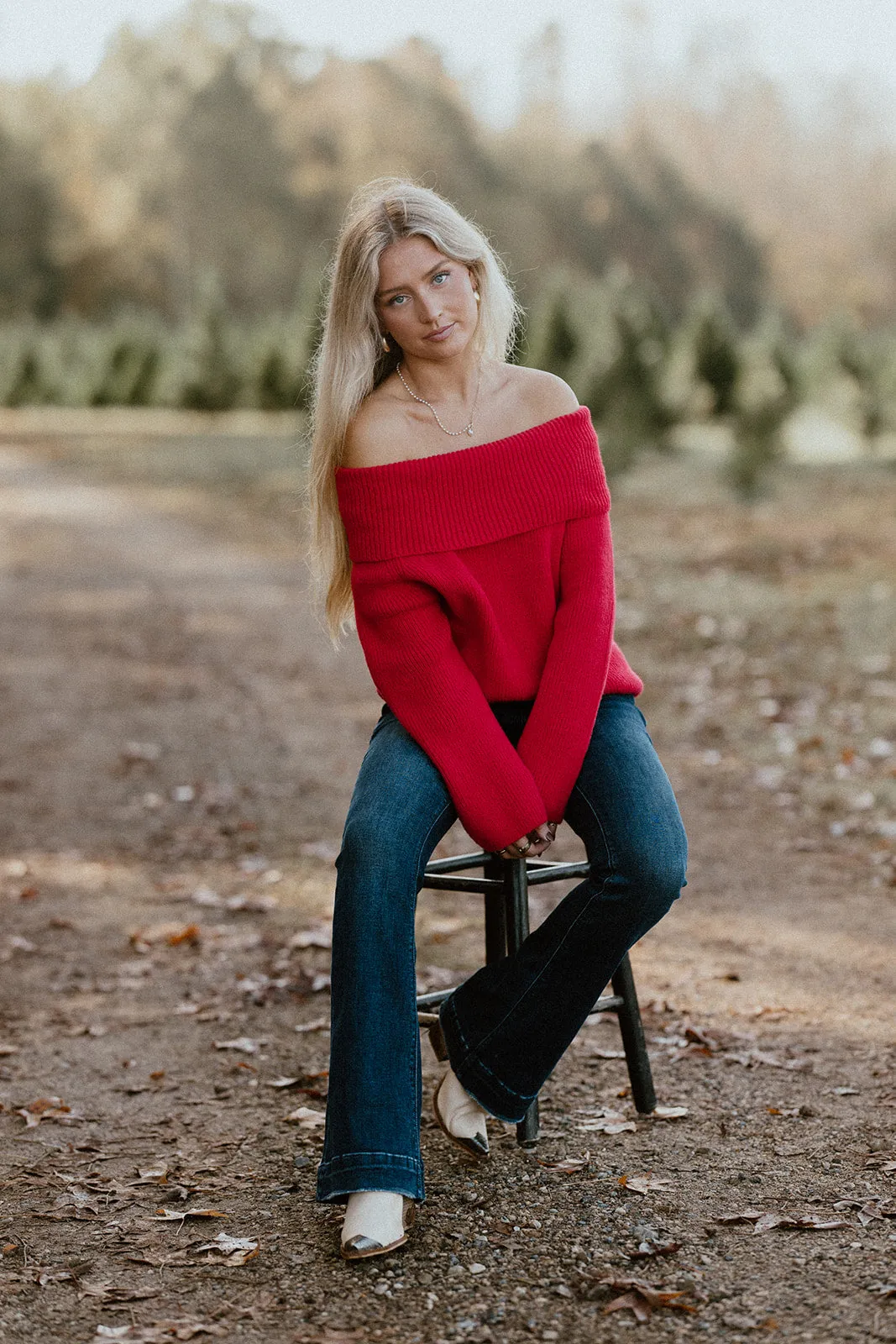 Apple of My Eye Sweater