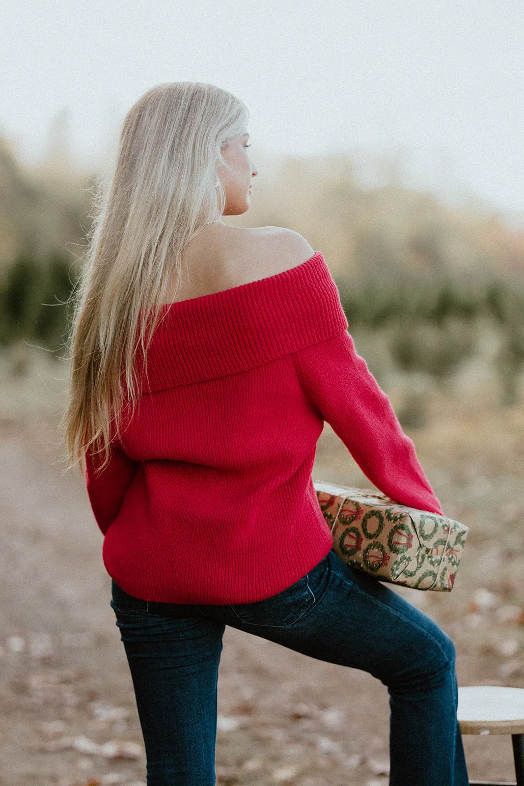 Apple of My Eye Sweater