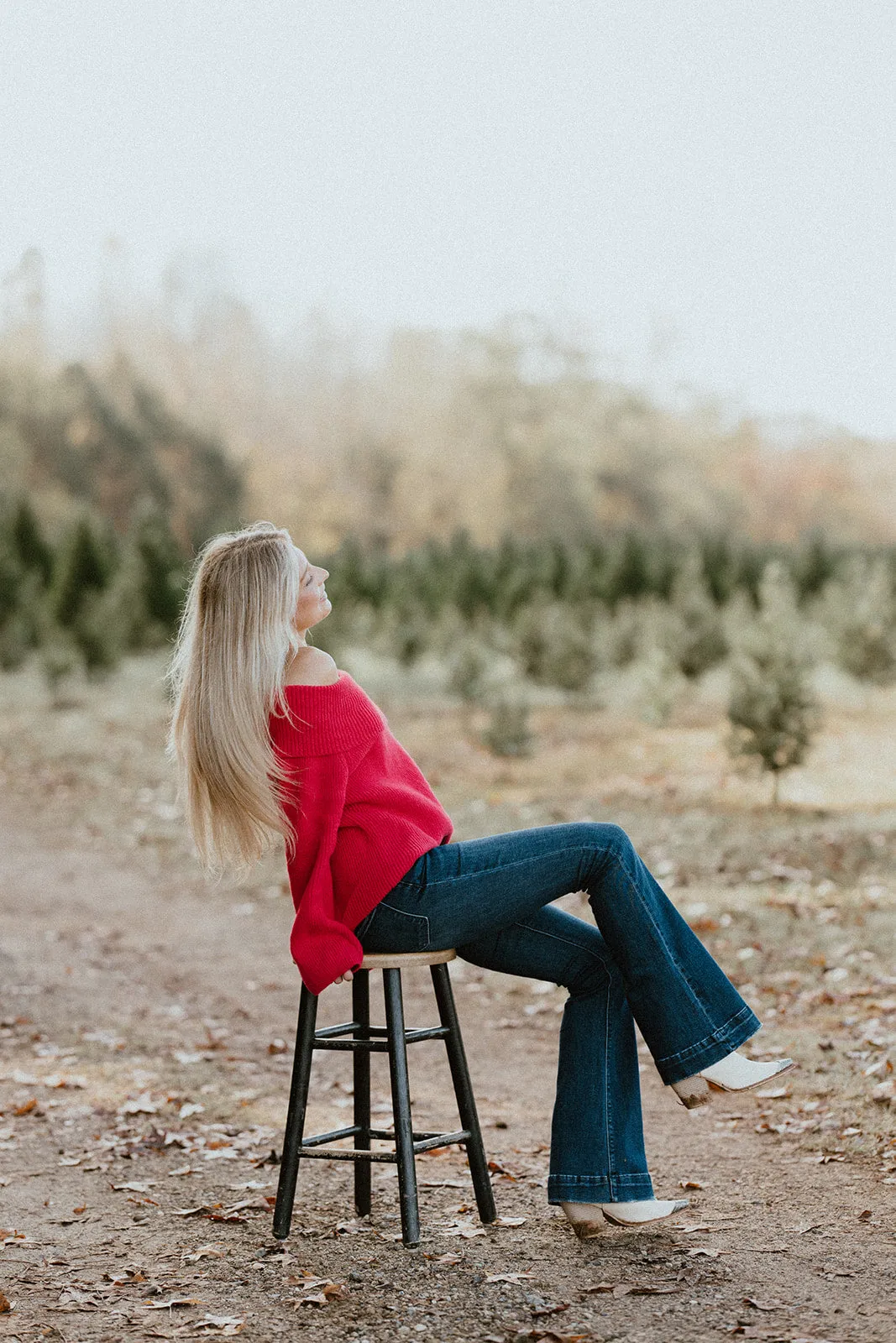 Apple of My Eye Sweater
