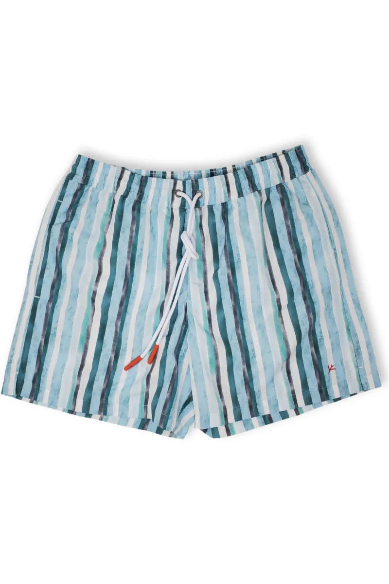 Green Stripe Swim Shorts