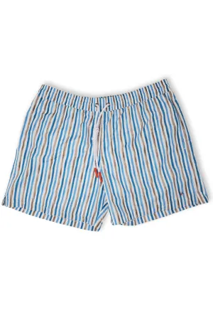 Stripe Swim Shorts